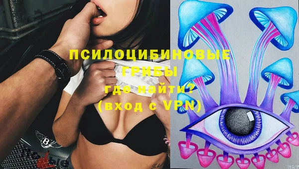 сатива Богданович