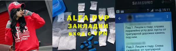 сатива Богданович