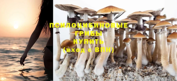 сатива Богданович