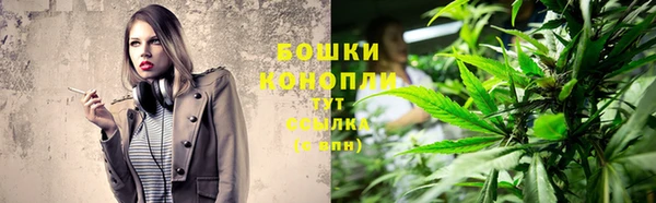 сатива Богданович