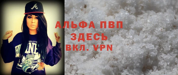 сатива Богданович
