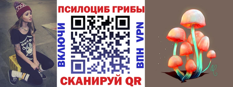Галлюциногенные грибы Psilocybe  Мыски 